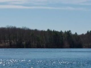 walden-pond