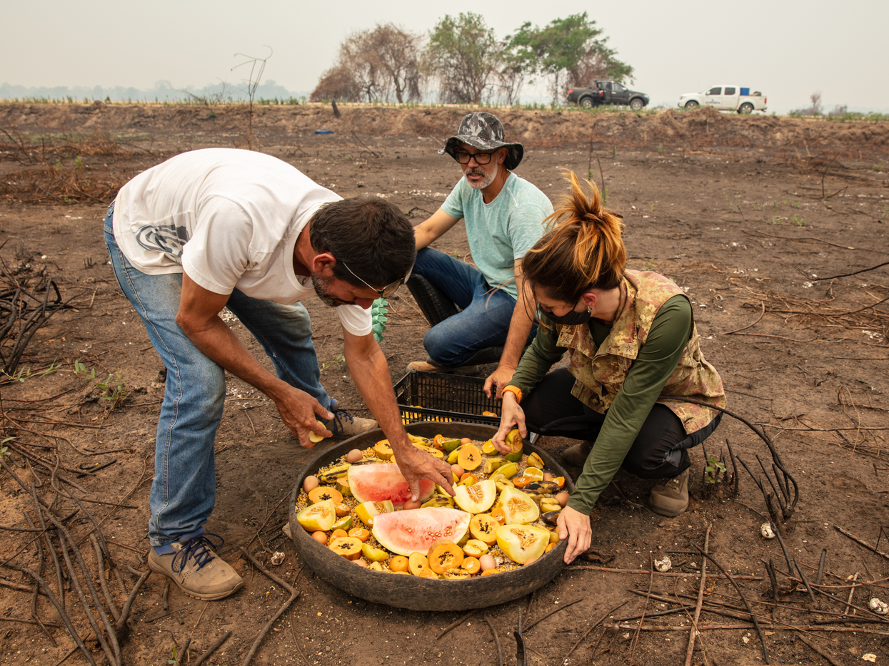 Galeria Voluntariado 