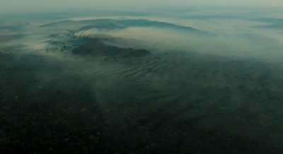 Fogo já atingiu mais de 5 mil hectares dos parques Cristalino I e II, no Mato Grosso