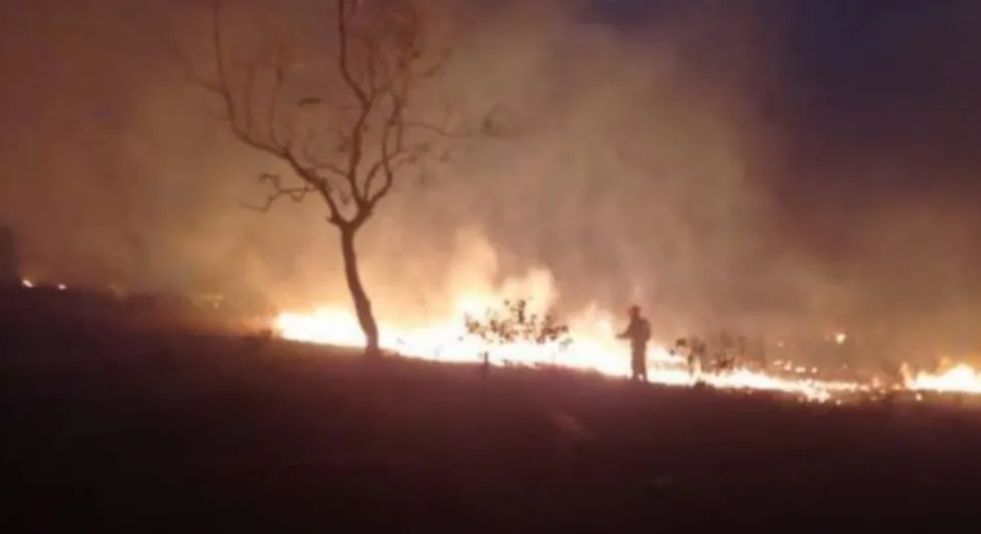 Brigadistas da Defesa Civil atendem 180 ocorr&ecirc;ncias em um m&ecirc;s