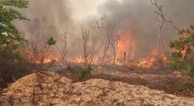 Mata fechada e terreno montanhoso dificultam combate ao fogo no Parque Estadual Cristalino II