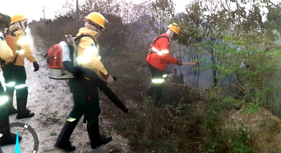 Inc&ecirc;ndio na &Aacute;rea de Prote&ccedil;&atilde;o Ambiental Baia Negra, no Pantanal, &eacute; contido com resposta imediata de brigadistas