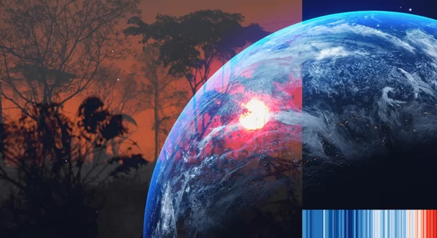 Georgina Rannard e Esme Stallard BBC News Clima e Ci&ecirc;ncia