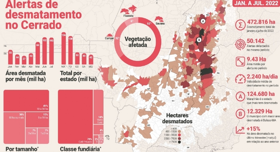MT teve 4.192 alertas de desmatamento no cerrado de janeiro a julho de 2022; 333 em terras ind&iacute;genas